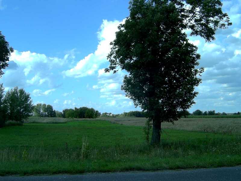 Polish countryside